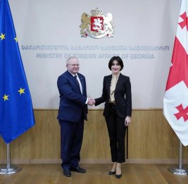 Бочорошвили: Грузия готова возобновить стратегическое партнерство с США