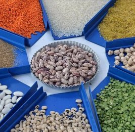 Азербайджан увеличил расходы на импорт зерновых и бобовых из Турции на 19,7%