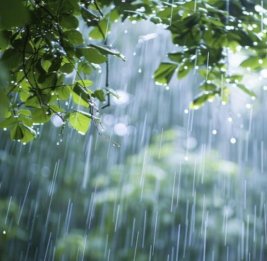 Завтра в Баку и на Абшероне ожидаются дожди, местами интенсивные