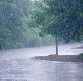 В Баку и на Абшероне выпало 440% месячной нормы осадков