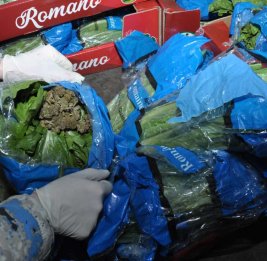 На таможенном посту &laquo;Билясувар&raquo; обнаружили капусту с иранским &laquo;сюрпризом&raquo;