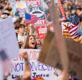 В Италии поддержали антивоенную акцию No Kings