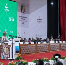 Переговоры в ВТО зашли в тупик из-за разногласий между США и Индией