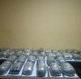 
Пограничники пресекли контрабанду более 51 кг наркотиков из Ирана в Азербайджан