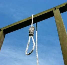 Казнить, нельзя помиловать
