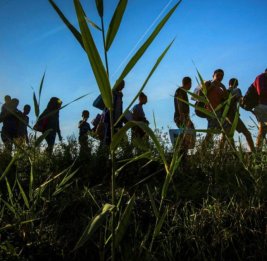 В Швеции фиксируют рост поддержки приема беженцев