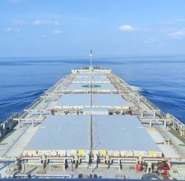 Мировые поставки продовольствия под угрозой