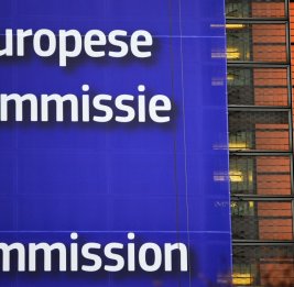 Еврокомиссия посоветовала Киеву обойти вето Венгрии с помощью 11 законов