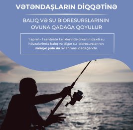 Природа уходит в &laquo;отпуск&raquo;