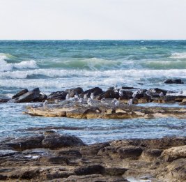 Каспий в зоне риска 