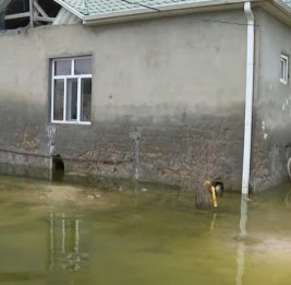 Дожди обрушили цены
