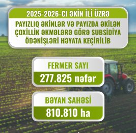 Руки, кормящие страну