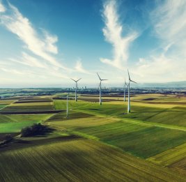 
Страны ОТГ поддержали развитие региональных проектов, в том числе Зеленого энергокоридора