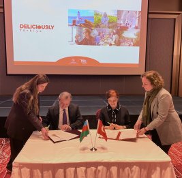 Туризм без границ