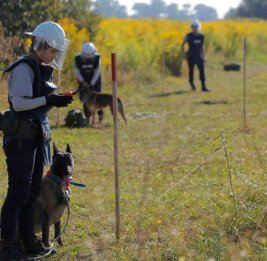 Как Украина борется с минами