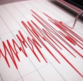 В турецком Ване произошло землетрясение магнитудой 5,1