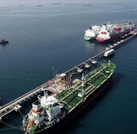 Власти Турции нашли пять логистических коридоров взамен Ормузского пролива