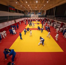 В Гяндже стартует Кубок Европы по дзюдо