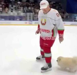 Шпиц Лукашенко Умка сопроводил хозяина на хоккейном льду