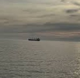 В Азовском море затонул сухогруз с пшеницей: есть погибший и пропавшие