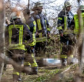 В Германии сильный ветер повалил дерево на людей, погибли три человека