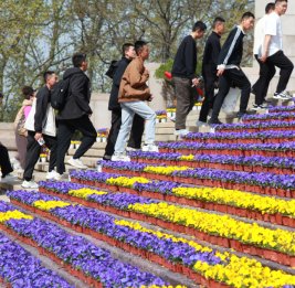 
В Китае укореняются экологичные способы погребения усопших
