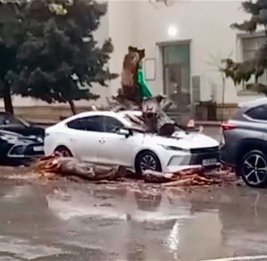 В центре Баку дерево рухнуло на автомобиль