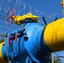 Газовая петля