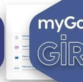 Цифровой монолит