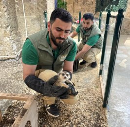 Спасены незаконно содержащиеся дикие животные