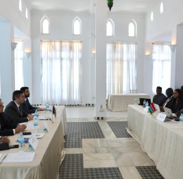 Азербайджан и Гамбия провели политические консультации