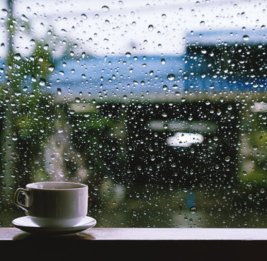 Обнародован прогноз погоды на завтра