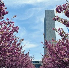 Глава ООН приветствует прекращение огня между США и Ираном