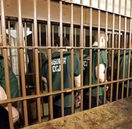 
Датские тюрьмы переполнены: система на грани