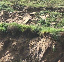 Опасность оползней в Баку: какие территории под риском?