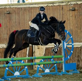 Весенний порыв