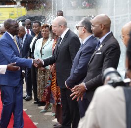 
Азербайджанская делегация принимает участие во II Африканском форуме городов