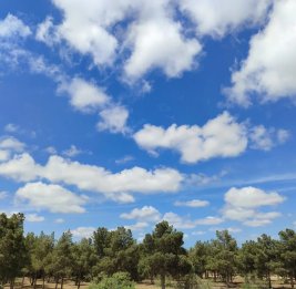 IQAir: Азербайджан - лидер на Южном Кавказе по чистоте воздуха