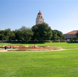 Один из самых авторитетных вузов мира внесли в перечень нежелательных организаций в РФ