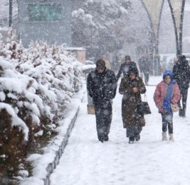 Жителей 14 провинций востока Турции предупредили о сильныx ливняx и снеге