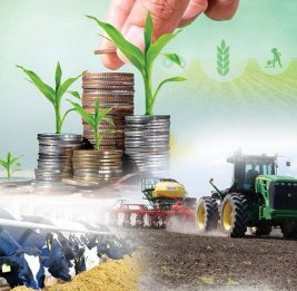 
В Азербайджане вырос портфель бизнес-кредитов в сельскохозяйственном секторе