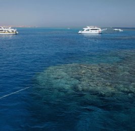 У берегов Йемена неизвестные пытались захватить судно
