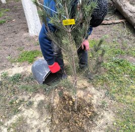Научно-хирургический центр им. М.А. Топчубашева вносит ясность