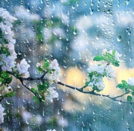 
Завтра в некоторых регионах ожидаются дожди и снег