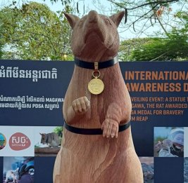 В Камбодже установили памятник крысе-саперу, которая обнаружила свыше 100 мин