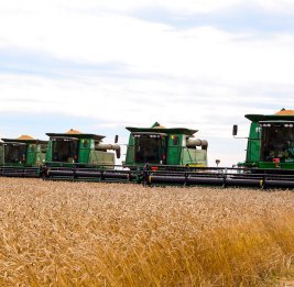 
Названо число женщин-фермеров в Азербайджане