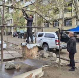 В Гяндже объявили войну &laquo;уличным бойням&raquo;