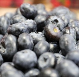 Врач опровергла миф, что черника способна улучшить зрение