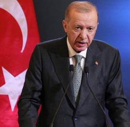 Эрдоган не исключил, что Турция может &laquo;войти в Израиль&raquo;