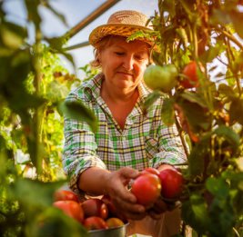 Женщины рулят
